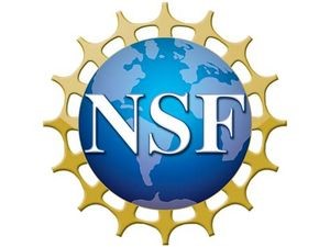 NSF logo
